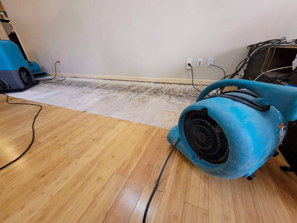 Reliable Basement Flood Cleanup contractor in Bogota, NJ by Hirex Water Damage