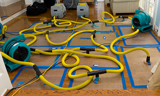 Professional Basement Flood Cleanup technician working in Bogota, NJ